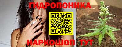 стафф Абинск