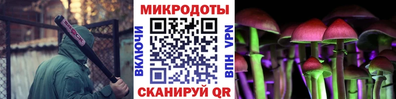 цена   Томск  площадка как зайти  Галлюциногенные грибы Psilocybine cubensis 