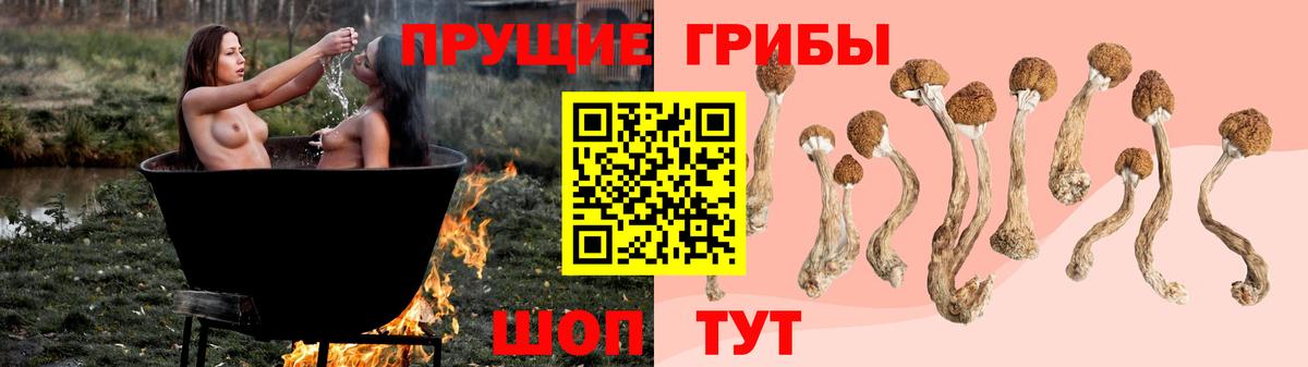 Галлюциногенные грибы Magic Shrooms  Вход с VPN  Томск 